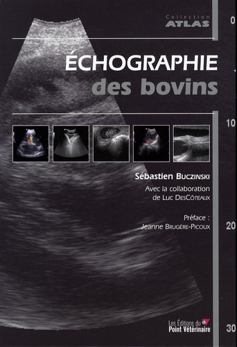 Image de ECHOGRAPHIE DES BOVINS