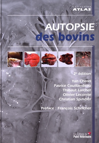 Picture of Autopsie des bovins