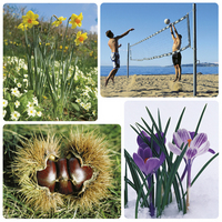 Picture of Imagier photos - Les saisons