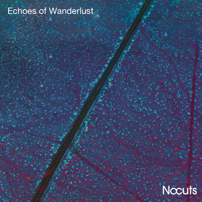 Picture of ECHOES OF WANDERLUST