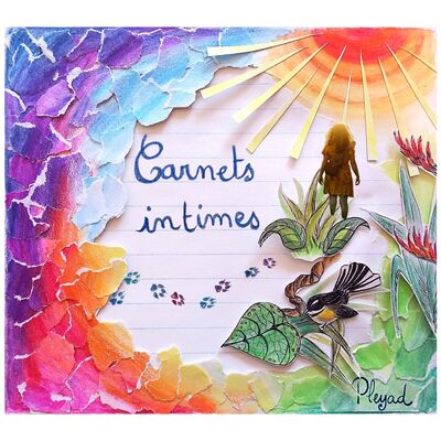 Image de CARNETS INTIMES _ PLEYAD
