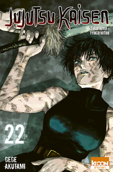 Picture of Jujutsu Kaisen T22