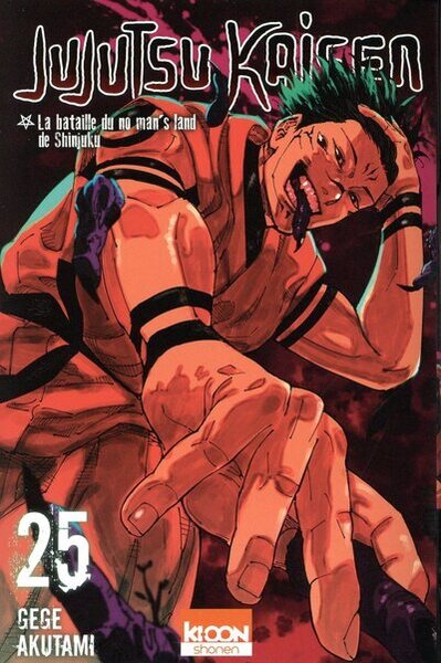 Image de Jujutsu Kaisen T25