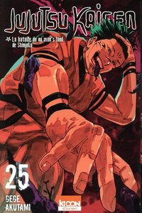 Image de Jujutsu Kaisen T25