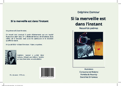 Image de Si la merveille est dans l'instant