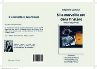 Image de Si la merveille est dans l'instant