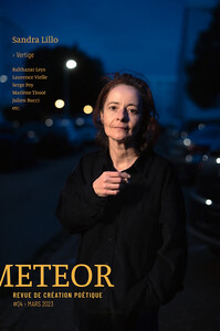 Picture of METEOR, revue de création poétique