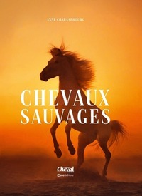 Picture of Chevaux Sauvages