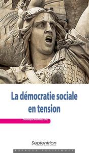 Picture of La démocratie sociale en tension