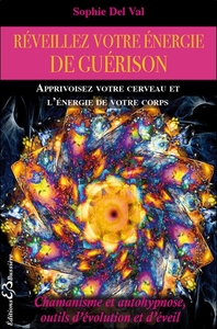 Picture of Réveillez votre énergie de guérison - Apprivoisez votre cerveau et l'énergie de votre corps
