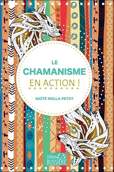 Picture of Le Chamanisme en action