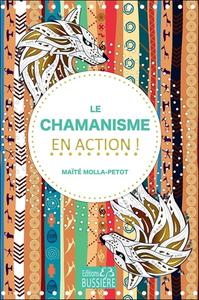 Image de Le Chamanisme en action