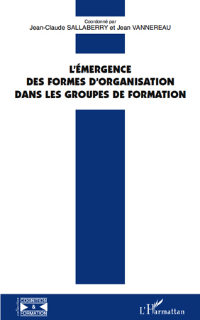 Image de L'émergence des formes d'organisation dans les groupes de formation