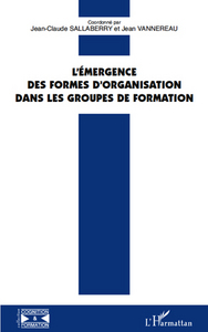 Image de L'émergence des formes d'organisation dans les groupes de formation