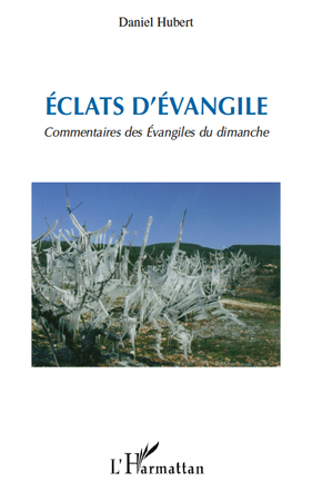 Picture of Eclats d'Evangile