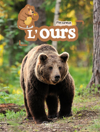 Image de L'ours