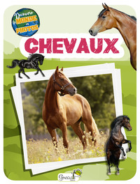 Picture of Chevaux