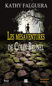 Picture of LES MESAVENTURES DE COLIN BRUNEL