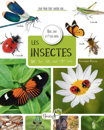 Image de Les insectes