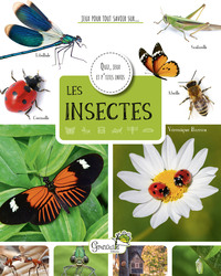 Image de Les insectes