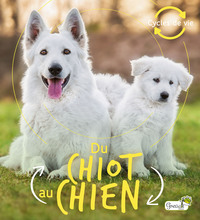 Image de Du chiot au chien