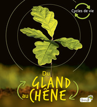 Image de Du gland au chêne