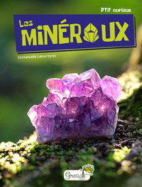 Image de Les minéraux