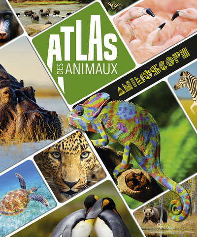 Picture of Atlas des animaux