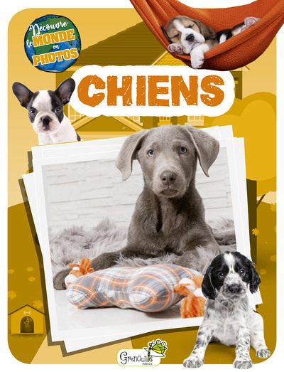 Image de Chiens