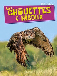 Image de Les chouettes et hiboux