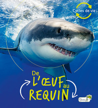 Image de De l'oeuf au requin
