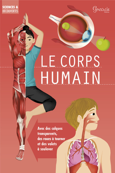 Image de Le corps humain