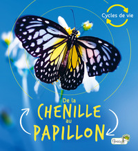 Picture of De la chenille au papillon