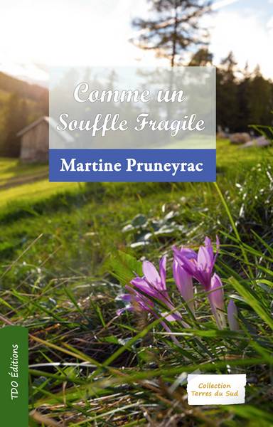 Image de COMME UN SOUFFLE FRAGILE