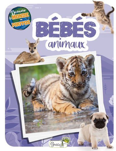 Picture of Les bébés animaux