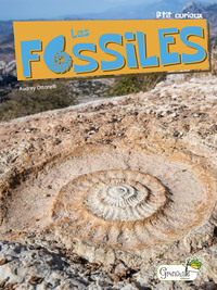 Image de Les fossiles