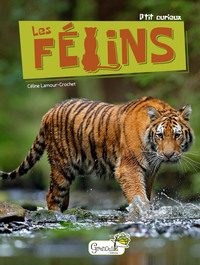 Picture of Les félins