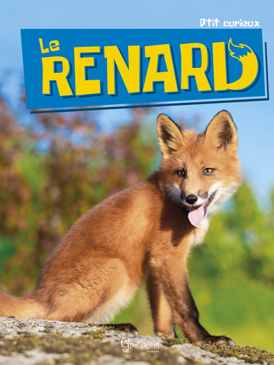 Image de Le renard