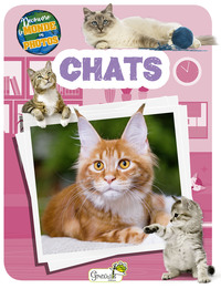 Picture of Chats