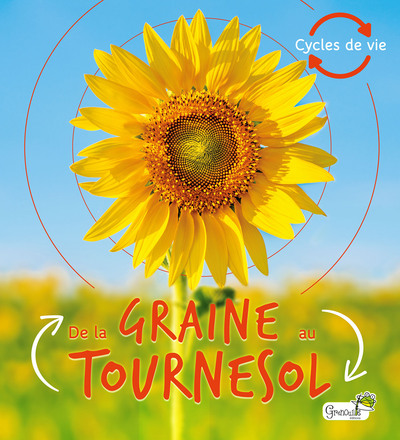 Image de De la graine au tournesol