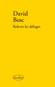 Picture of Relever les déluges