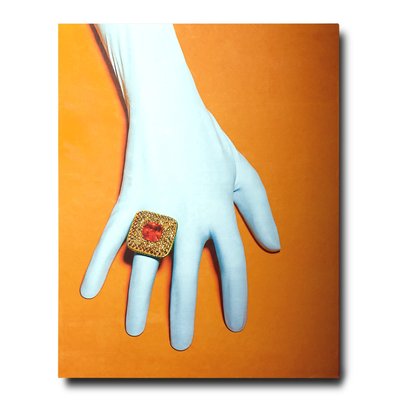Picture of SUZANNE SYZ ART JEWELS -ANGLAIS-