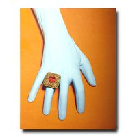 Picture of SUZANNE SYZ ART JEWELS -ANGLAIS-