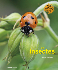 Image de Les insectes