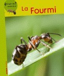 Image de La fourmi