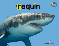 Image de Le requin