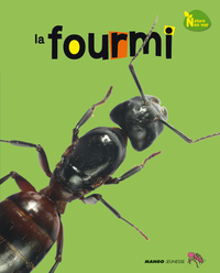 Image de La fourmi