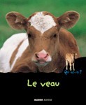 Image de Le veau