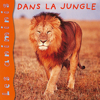 Picture of Dans la jungle