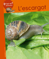 Image de L'escargot
